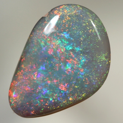 SOLID SEMI BLACK OPAL Bright Floral Harlequin pattern